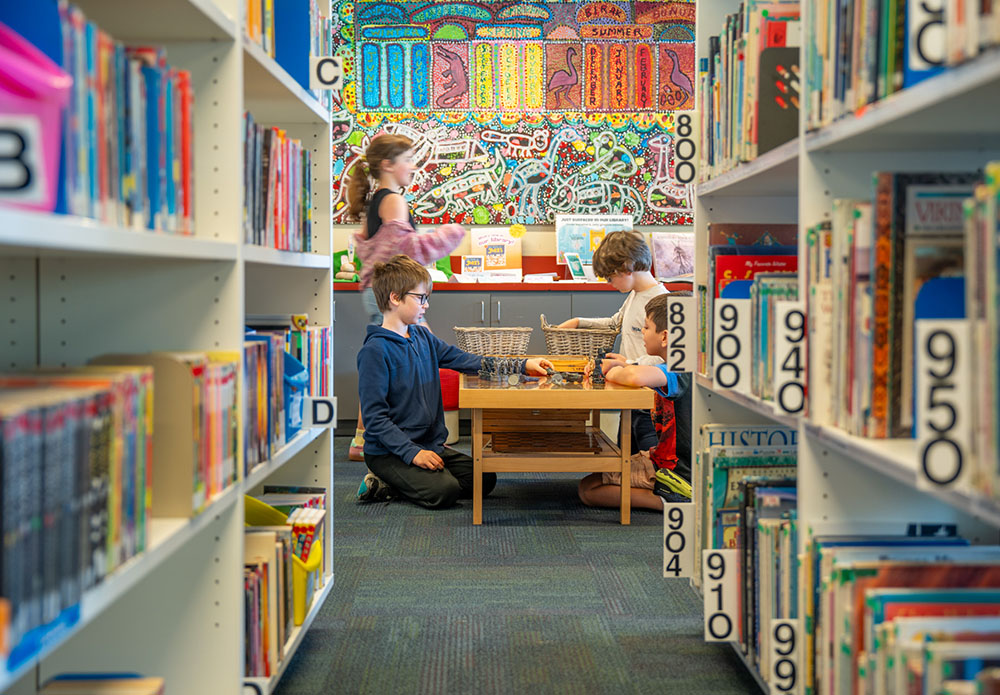 Curriculum Overview